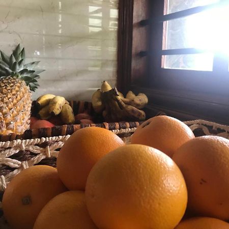 Villa Wodeyarmutt Sringeri Dış mekan fotoğraf