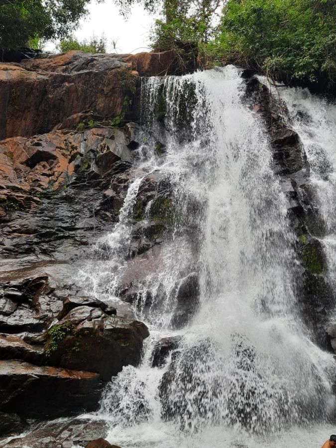 Villa Wodeyarmutt Sringeri Dış mekan fotoğraf