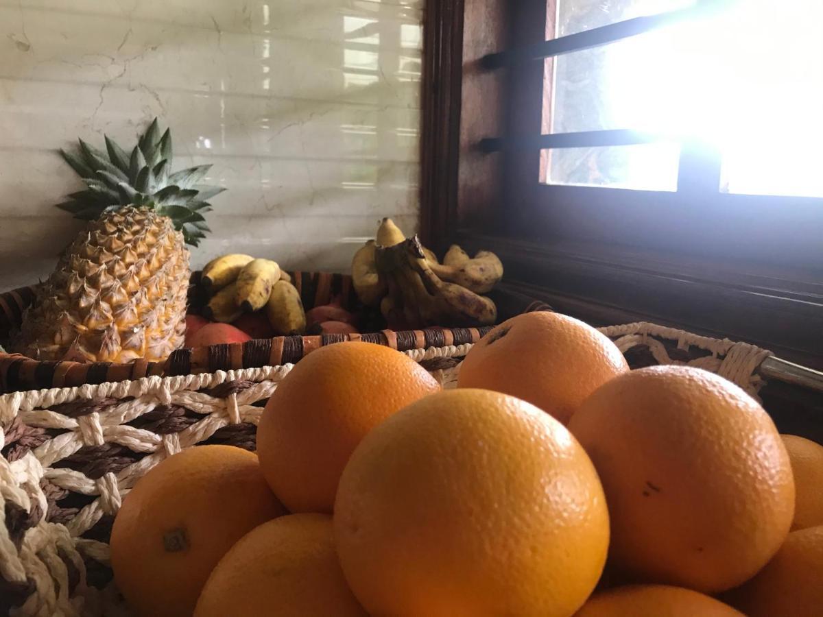 Villa Wodeyarmutt Sringeri Dış mekan fotoğraf